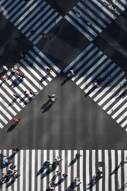 zebra crossings from above